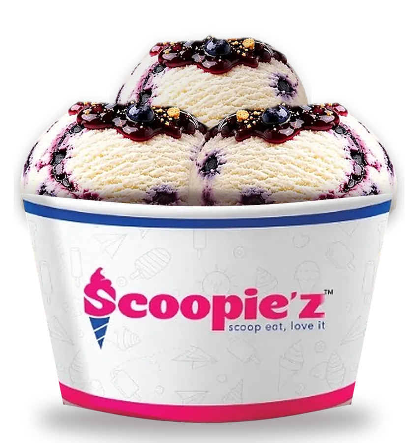 Scoopie'z Blueberry Cheesecake ice cream cup